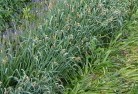 Meadow Creekorganic-gardening-15.jpg; ?>
